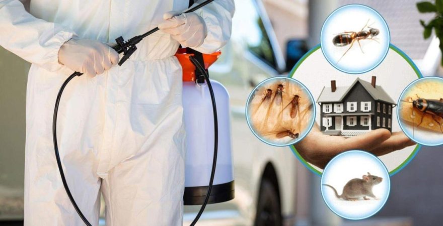 Dursunbey Böcek İlaçlama