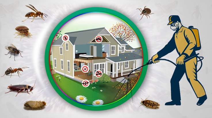 Dursunbey Böcek İlaçlama