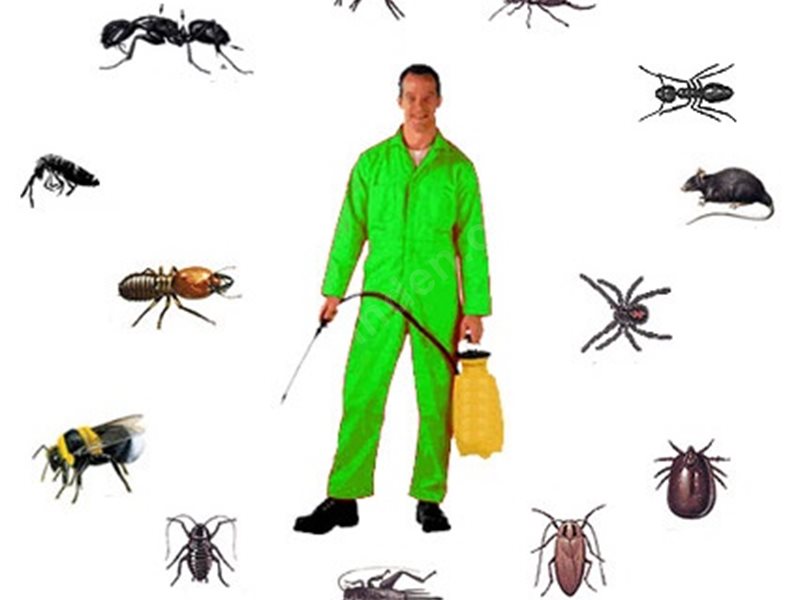 Dursunbey Böcek İlaçlama